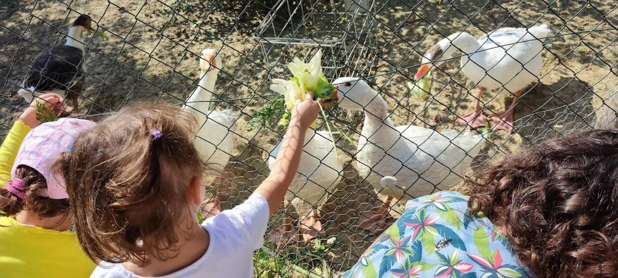 Agriturismo Biofattoria L'Upupa مونتالشينو المظهر الخارجي الصورة