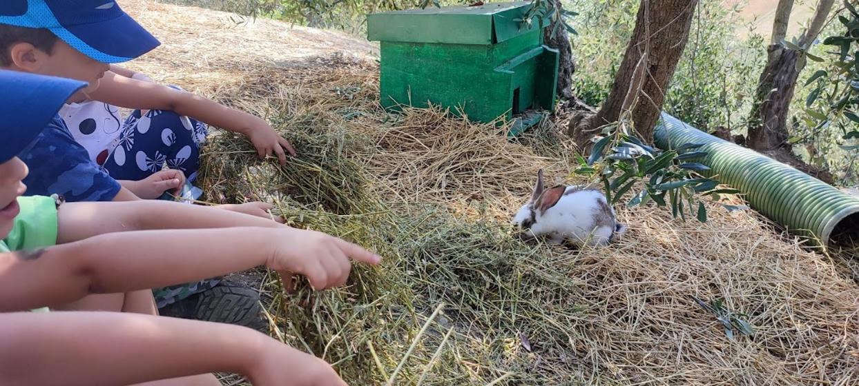 Agriturismo Biofattoria L'Upupa مونتالشينو المظهر الخارجي الصورة