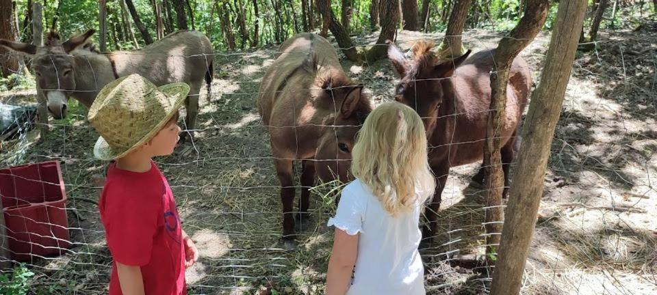 Agriturismo Biofattoria L'Upupa مونتالشينو المظهر الخارجي الصورة
