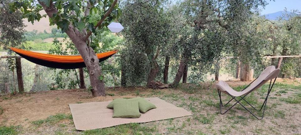 Agriturismo Biofattoria L'Upupa مونتالشينو المظهر الخارجي الصورة