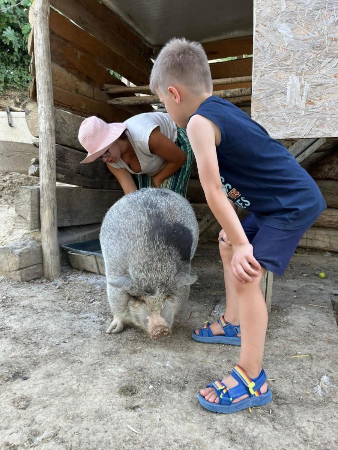 Agriturismo Biofattoria L'Upupa مونتالشينو المظهر الخارجي الصورة