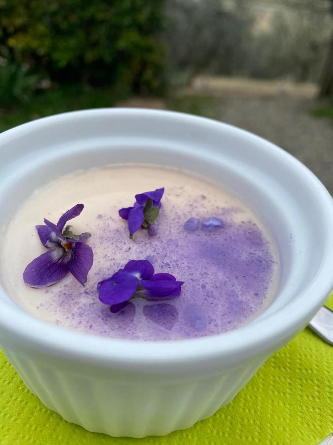 Agriturismo Biofattoria L'Upupa مونتالشينو المظهر الخارجي الصورة