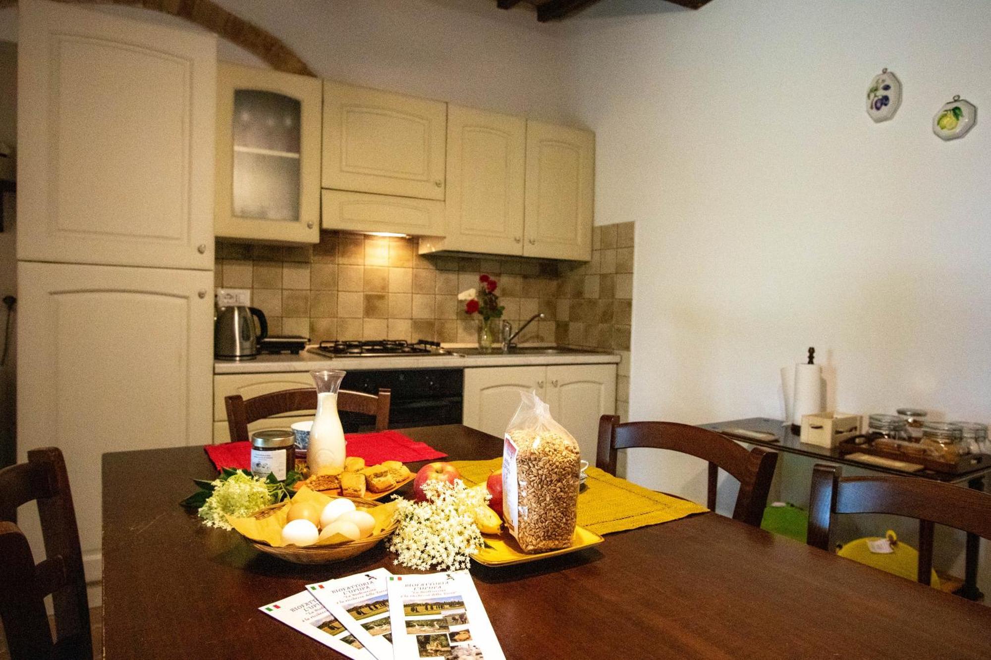 Agriturismo Biofattoria L'Upupa مونتالشينو المظهر الخارجي الصورة