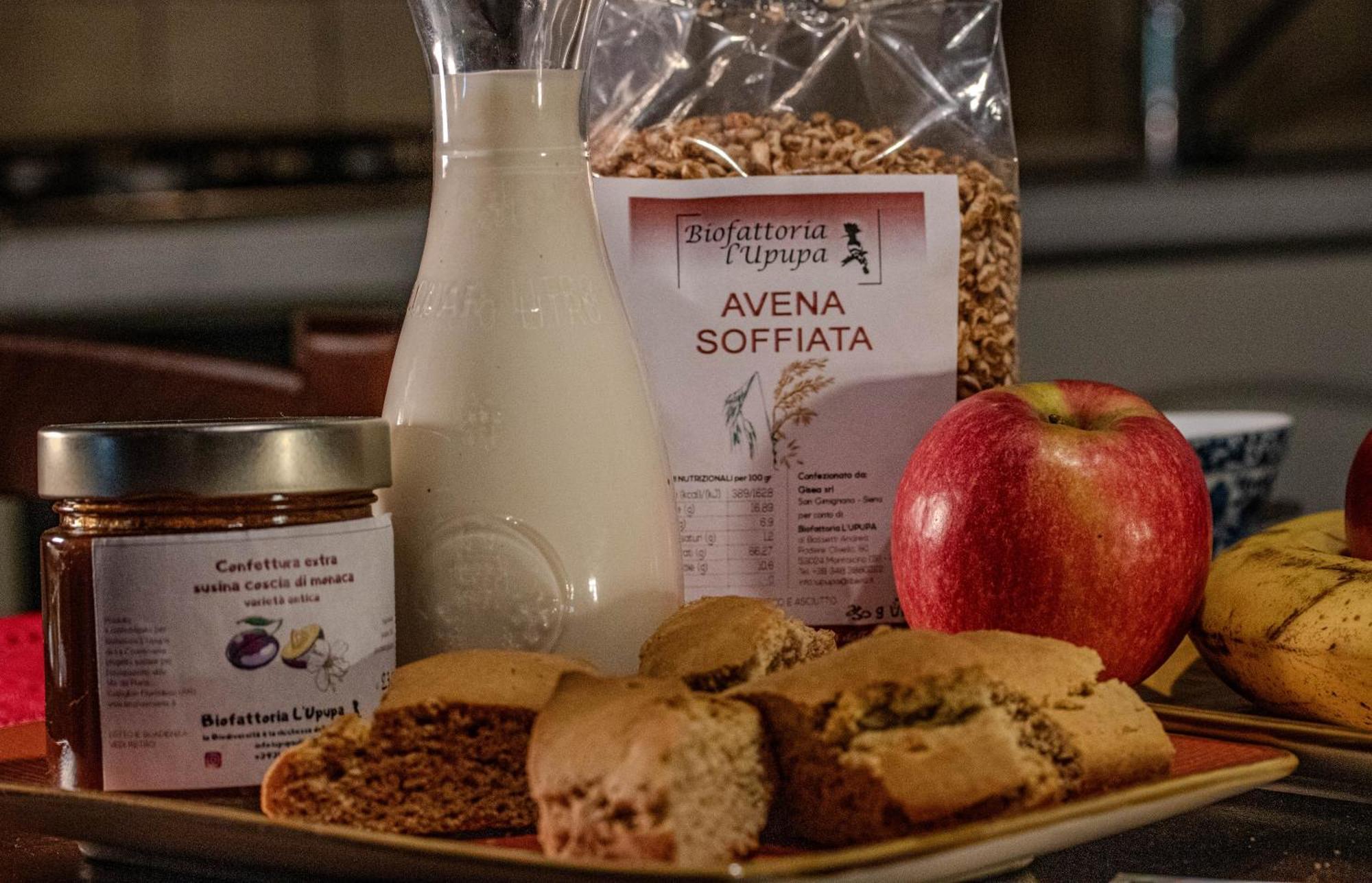 Agriturismo Biofattoria L'Upupa مونتالشينو المظهر الخارجي الصورة