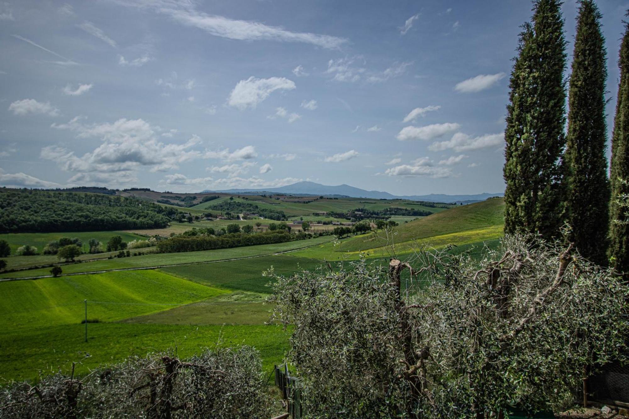 Agriturismo Biofattoria L'Upupa مونتالشينو المظهر الخارجي الصورة