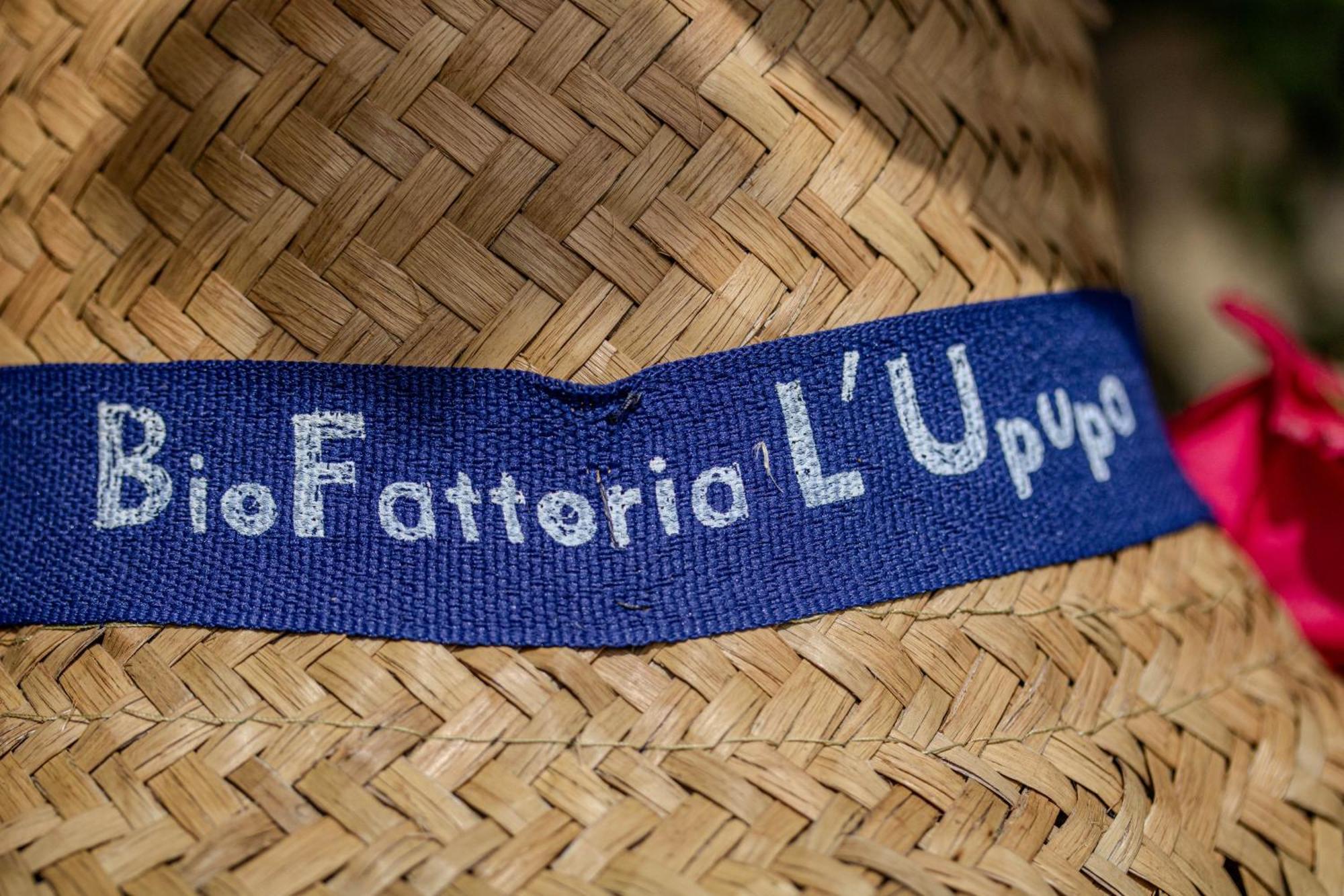 Agriturismo Biofattoria L'Upupa مونتالشينو المظهر الخارجي الصورة