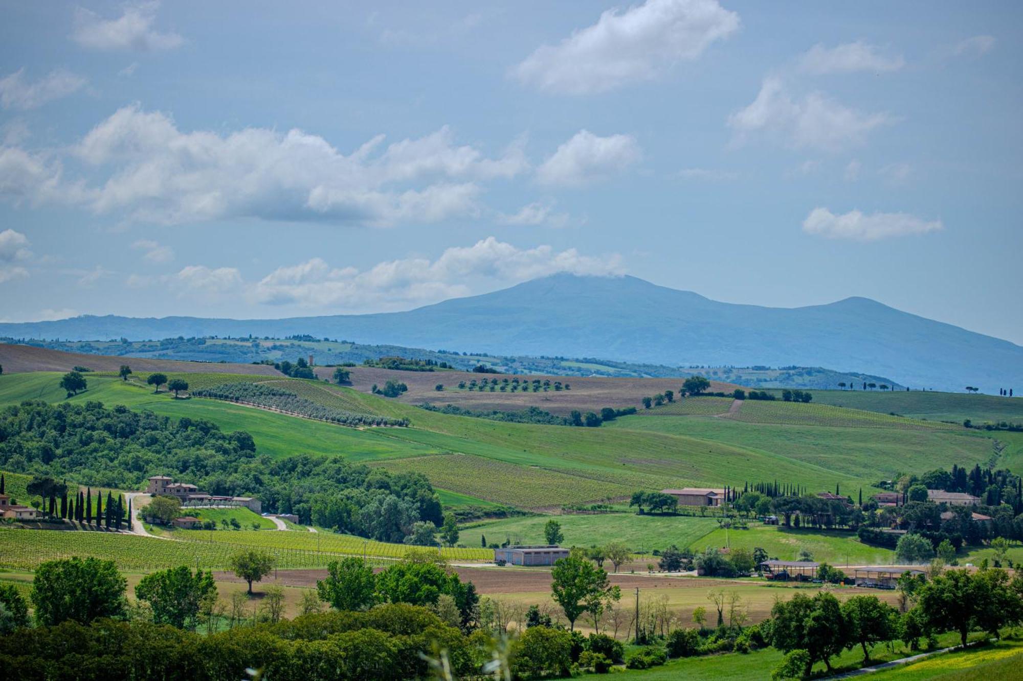 Agriturismo Biofattoria L'Upupa مونتالشينو المظهر الخارجي الصورة